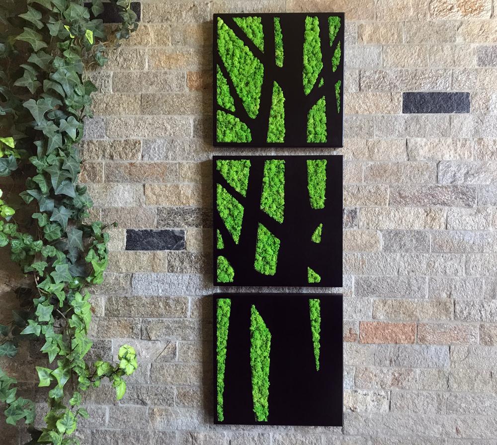Tree Triptych - When contrast became part of the design