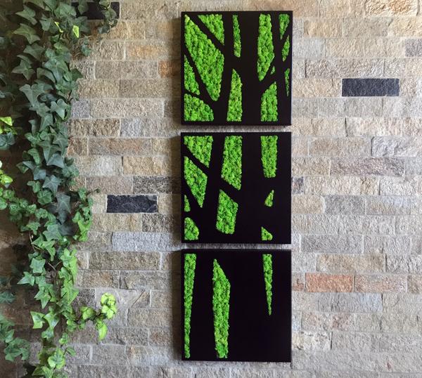 Tree Triptych - When contrast became part of the design